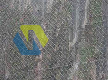 ����߅�·��o(h��)�W(w��ng)